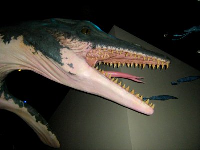 GeoCenter6