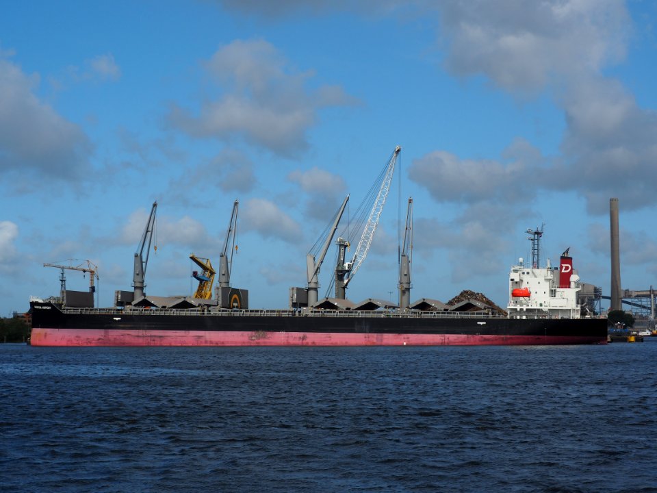 Georgia Harmony (ship, 2019) IMO 9836921, Port of Amsterdam pic1