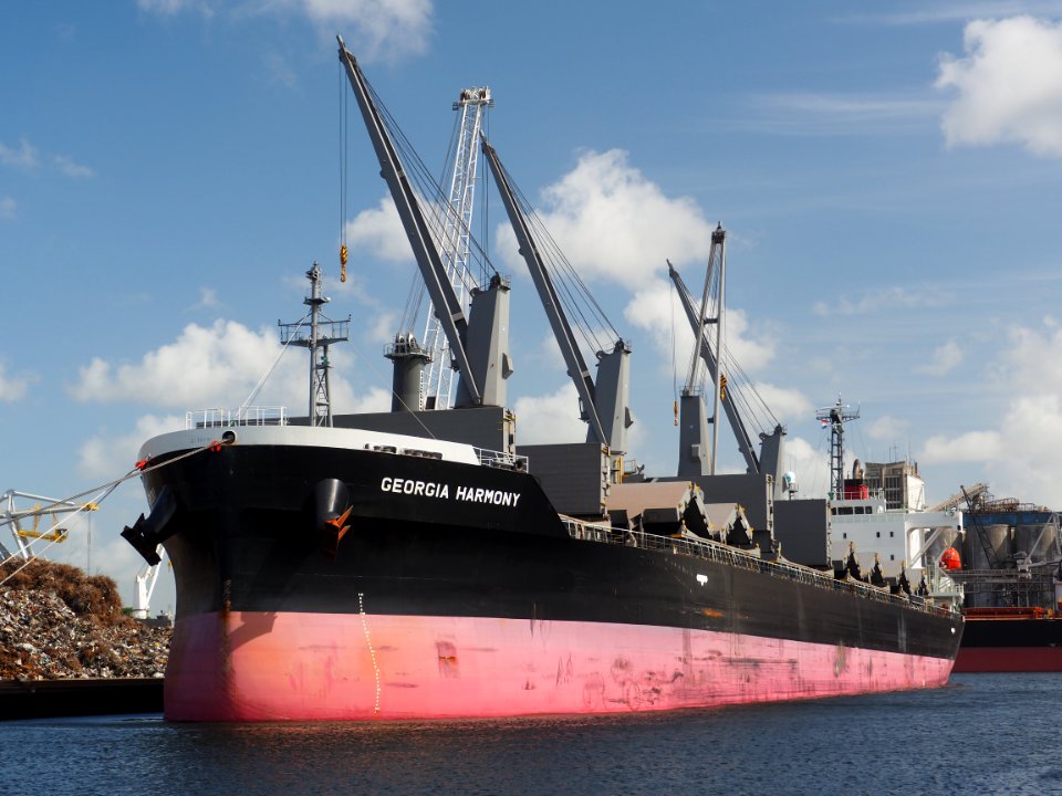 Georgia Harmony (ship, 2019) IMO 9836921, Port of Amsterdam pic4