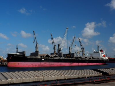 Georgia Harmony (ship, 2019) IMO 9836921, Port of Amsterdam pic3