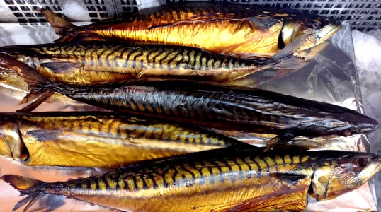 Geräucherte Makrele