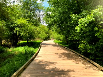 George Pierce Park, June 2021 04
