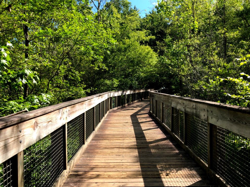 George Pierce Park boardwalk May 2021
