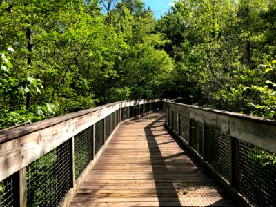 George Pierce Park boardwalk May 2021
