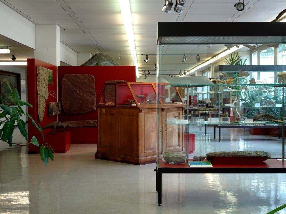 Geoscience Museum Göttingen Exhibition room2