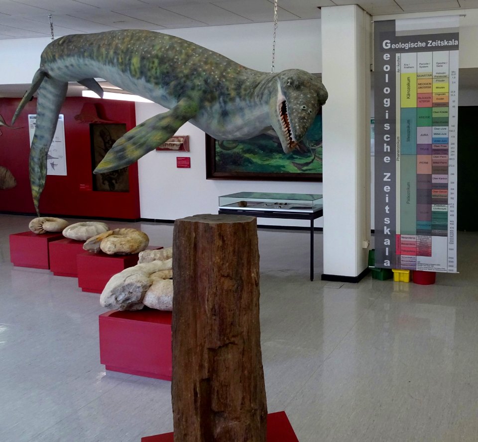 Geoscience Museum Göttingen Exhibition room3