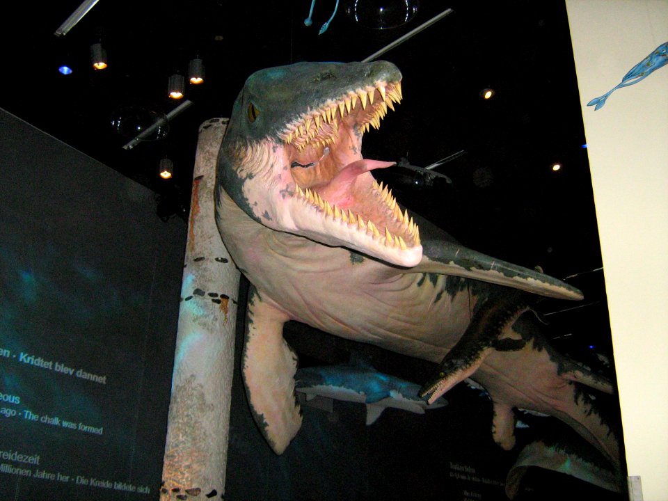 GeoCenter3
