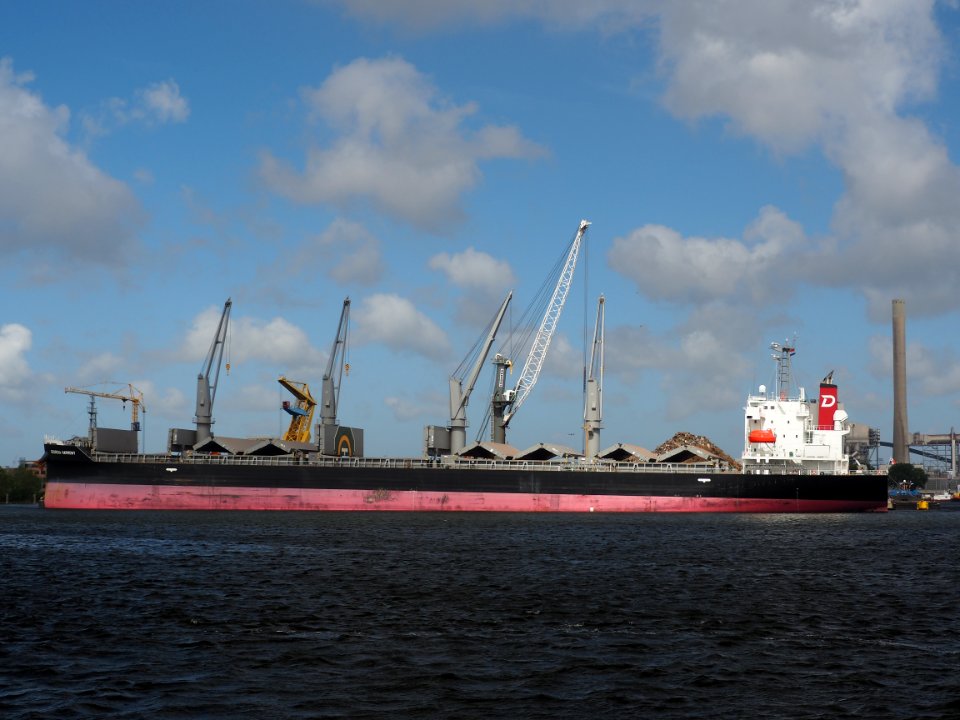 Georgia Harmony (ship, 2019) IMO 9836921, Port of Amsterdam pic2