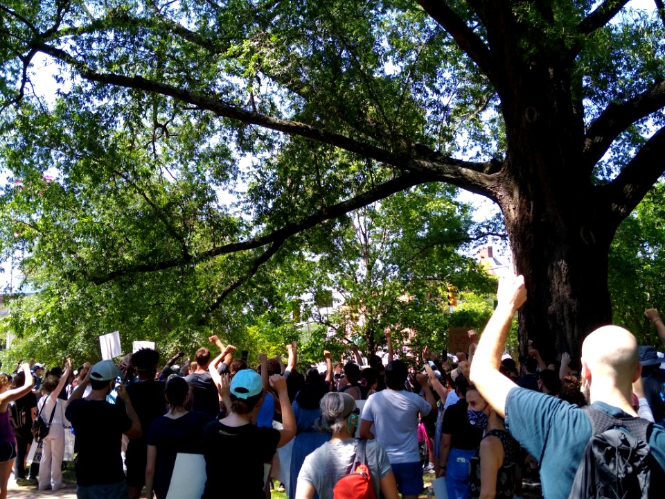 George Floyd protest in Chapel Hill 3