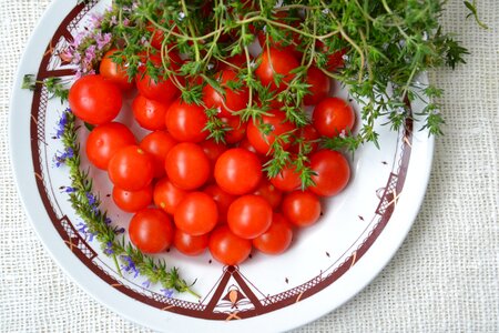 Salad harvesting food