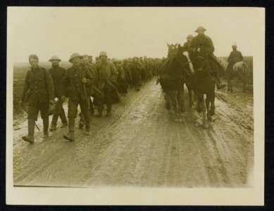 German prisoners captured by the Canadians at the storming of Regina Trench, Bestanddeelnr 158-1138