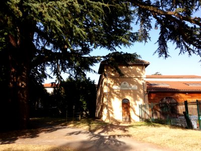 Genay - Rhône-Alpes - Parc de Rancé - Colombier sous le cèdre de l'Atlas bleu