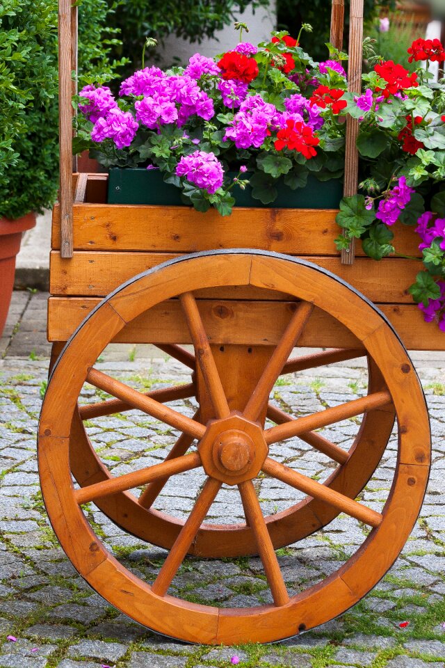Decoration colorful garden