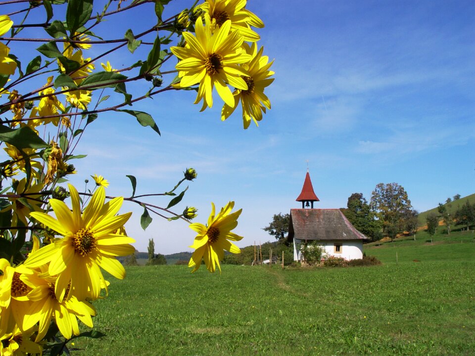 Chapel sunflower landscape