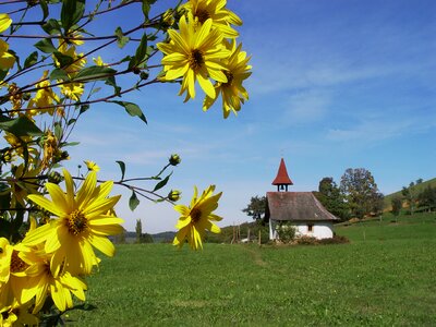 Chapel sunflower landscape