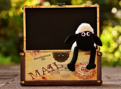 Funny animal soft toy