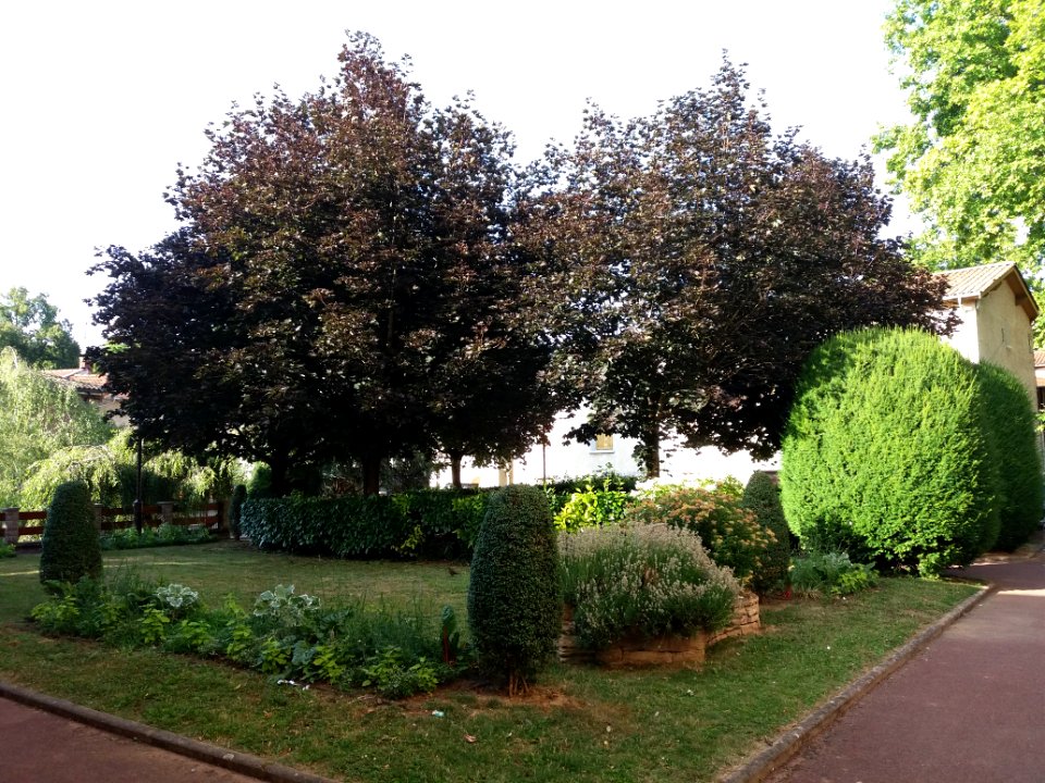 Genay - Rhône-Alpes - Square Général de Gaulle