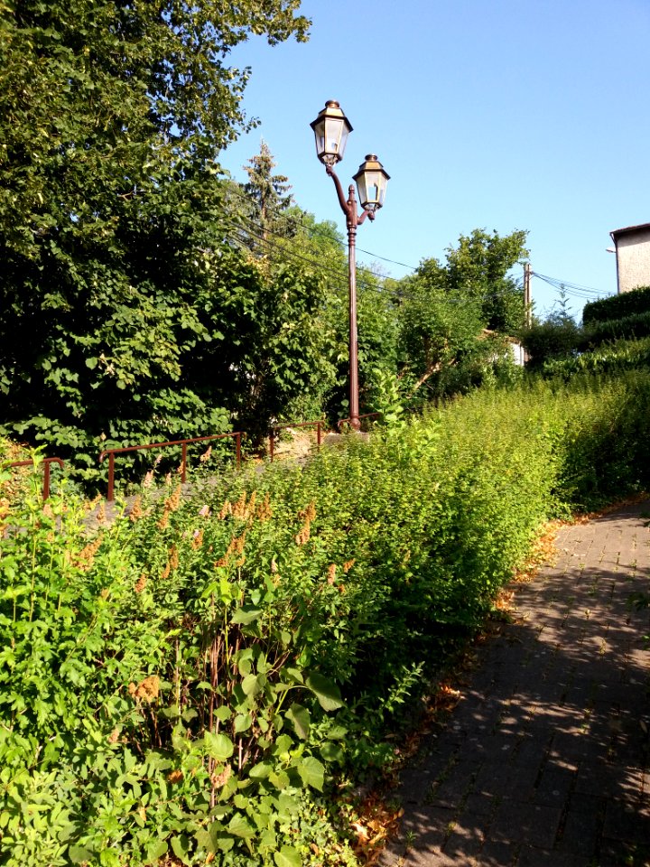 Genay - Rhône-Alpes - Rue de la Mairie - Lampadaire
