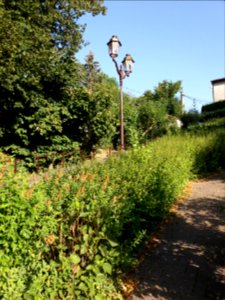 Genay - Rhône-Alpes - Rue de la Mairie - Lampadaire