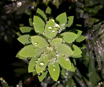 Wet water water droplets photo