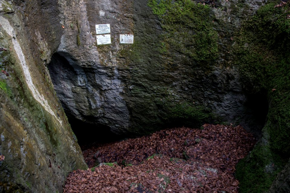Geisloch bei Münzinghof (D 16) 008