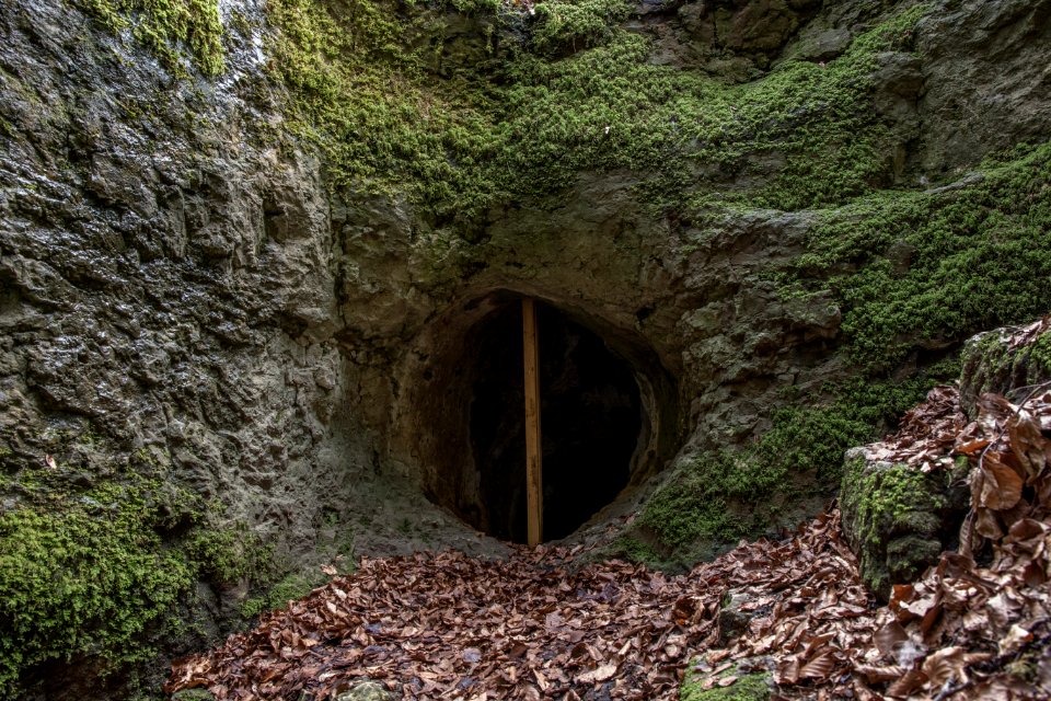 Geisloch bei Münzinghof (D 16) 013