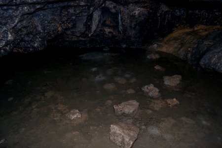 Geisloch bei Münzinghof (D 16) 064