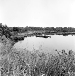 Geen foto, wel negatief, Bestanddeelnr 163-0692