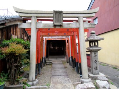 Gekko-Inari 002