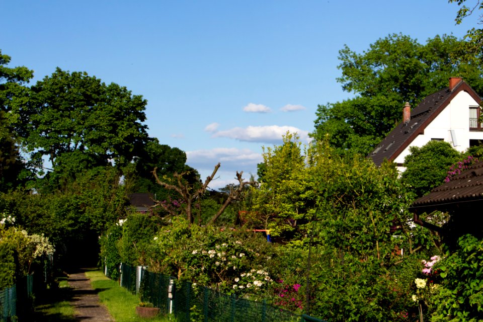 Geibelstraße, Kleingärten 20140503 101