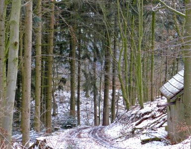 Geiersberg-Oberlebing-1040113-Oberoesterreich