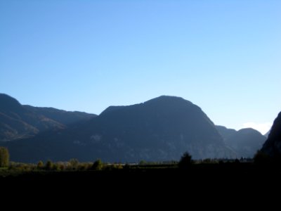 Geier bei Salurn
