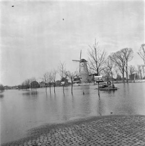 Geinundeerde gebied (Vlissingse singel) Op twee bomen zijn borden met maximum-, Bestanddeelnr 900-5285
