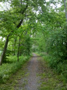 Geh- und Radweg entlang der Schwennigke von Pegau nach Audigast im Mai 2016