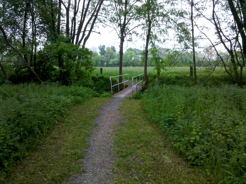 Geh- und Radweg entlang der Schwennigke von Pegau nach Audigast - Brückenbauwerk Schwennigke im Mai 2016