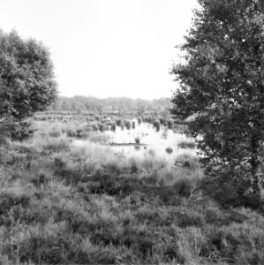 Geen foto, wel negatief, Bestanddeelnr 163-0693