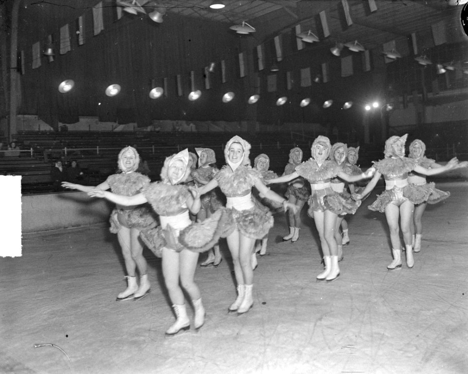 Generale IJSrevue Apollohal, Bestanddeelnr 903-0832