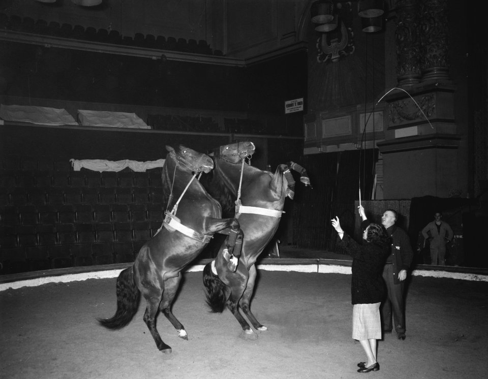 Generale repetitie van Circus Strassburger in Carre Elly Belli Strassburger en W, Bestanddeelnr 910-0517