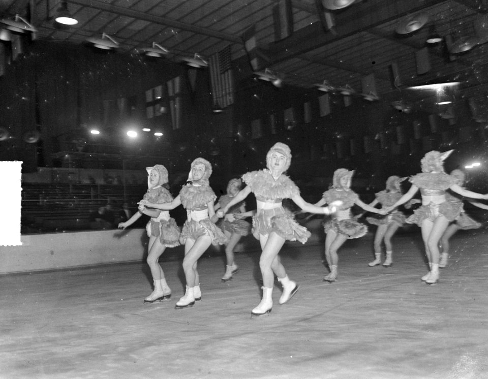Generale IJSrevue Apollohal, Bestanddeelnr 903-0831