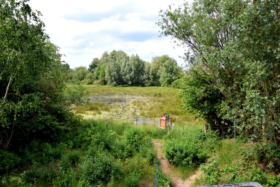 Gehrensee (Berlin-Falkenberg)