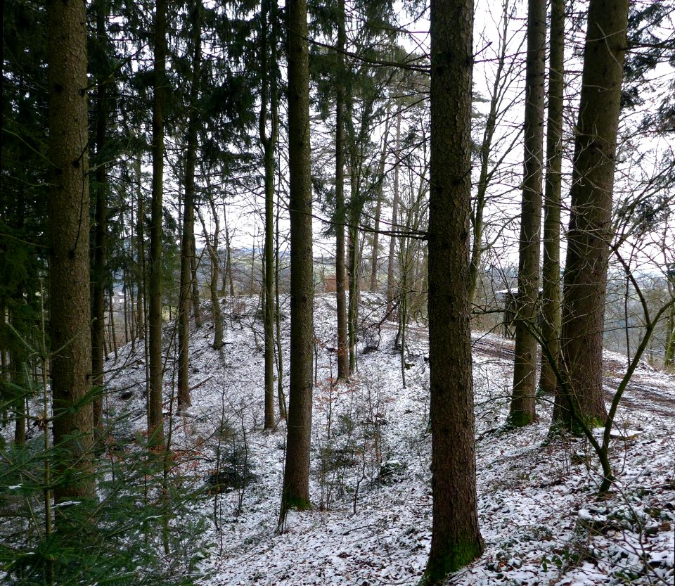 Geiersberg-Oberlebing-1040106-Oberoesterreich