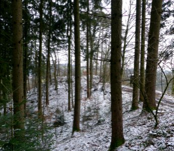 Geiersberg-Oberlebing-1040106-Oberoesterreich