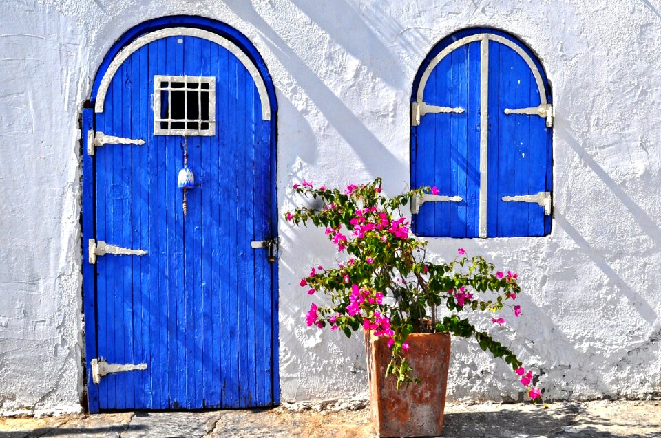 Blue pink flower blue door photo