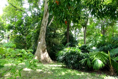 General view - Saigon Zoo and Botanical Gardens - Ho Chi Minh City, Vietnam - DSC01234