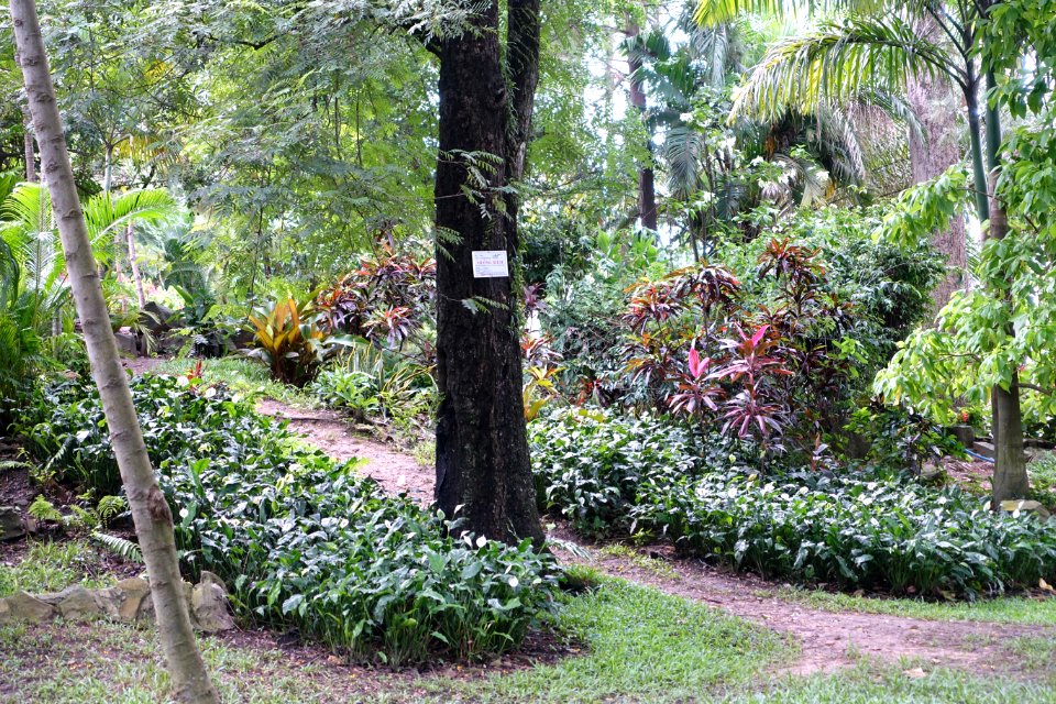 General view - Saigon Zoo and Botanical Gardens - Ho Chi Minh City, Vietnam - DSC01228