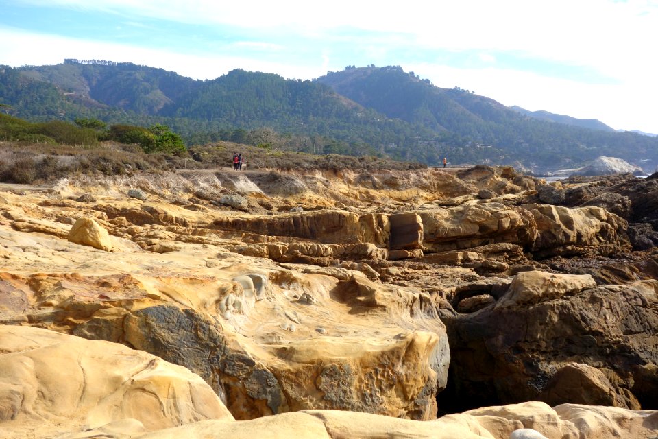 General view - Point Lobos State Reserve - DSC07094