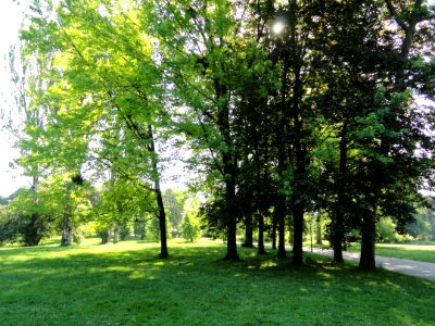 General view - Parc de la Tête d'Or - DSC05222