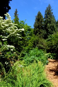 General view - UBC Botanical Garden - Vancouver, Canada - DSC07853