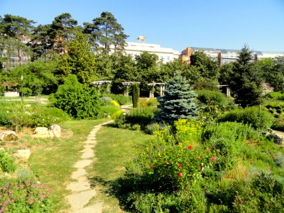 General view - Parc de la Tête d'Or - DSC05251