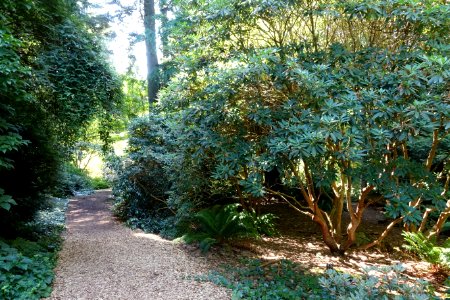 General view - UBC Botanical Garden - Vancouver, Canada - DSC07729